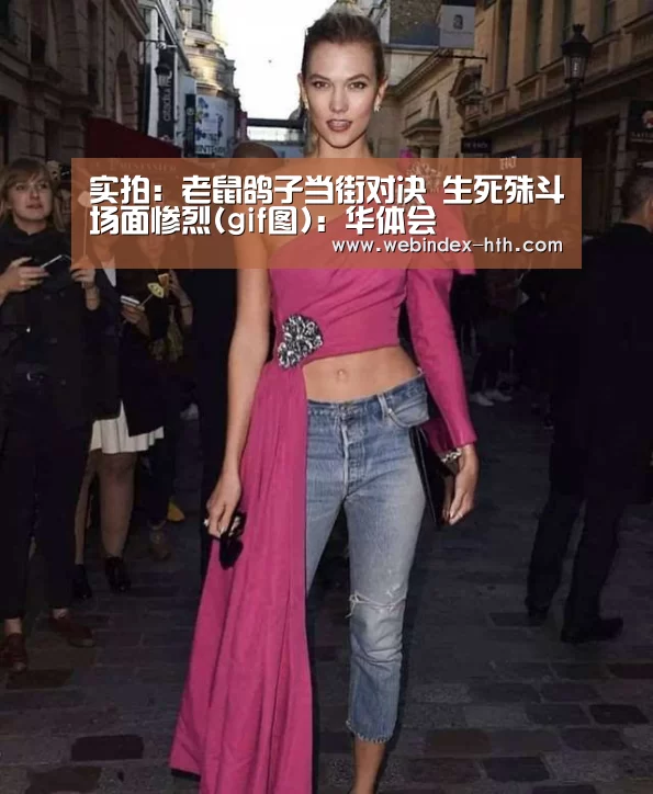 实拍：老鼠鸽子当街对决 生死殊斗场面惨烈