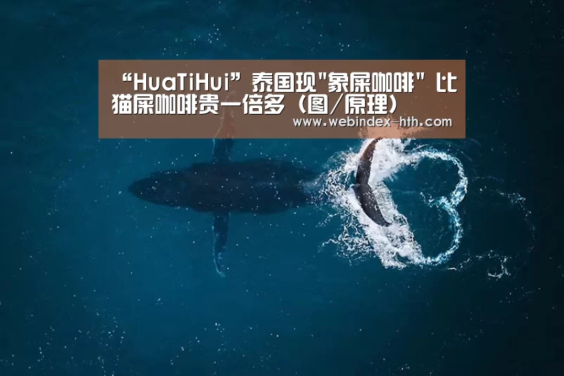 “HuaTiHui”泰国现