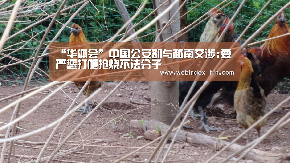 华体会官方首页