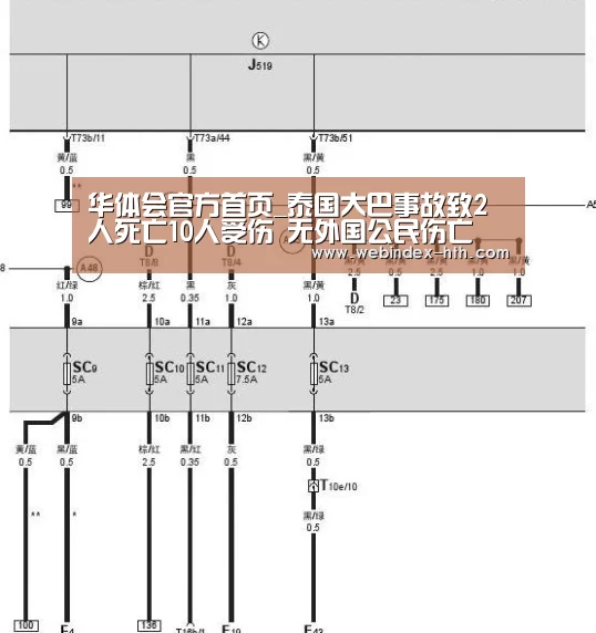 华体会官方首页